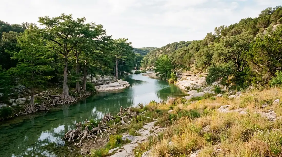 Hill Country river between limestone banks with bald cypress trees along the water